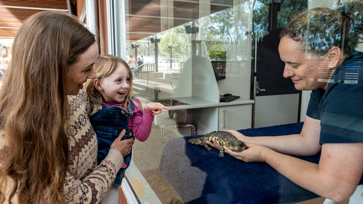 Guests experiencing new Wildlife Hospital