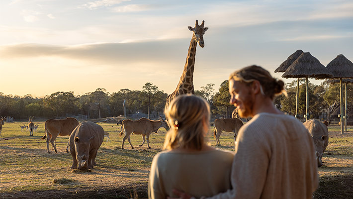 Sunset at Taronga Western Plains Zoo 