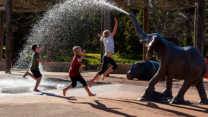 Waterhole at Western Plains Zoo