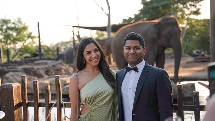 Guests enjoying the Zoofari Gala 