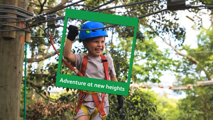 See the Zoo from a birds-eye view