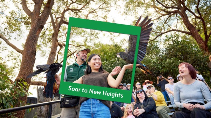 Spread your wings at Free Flight Birds