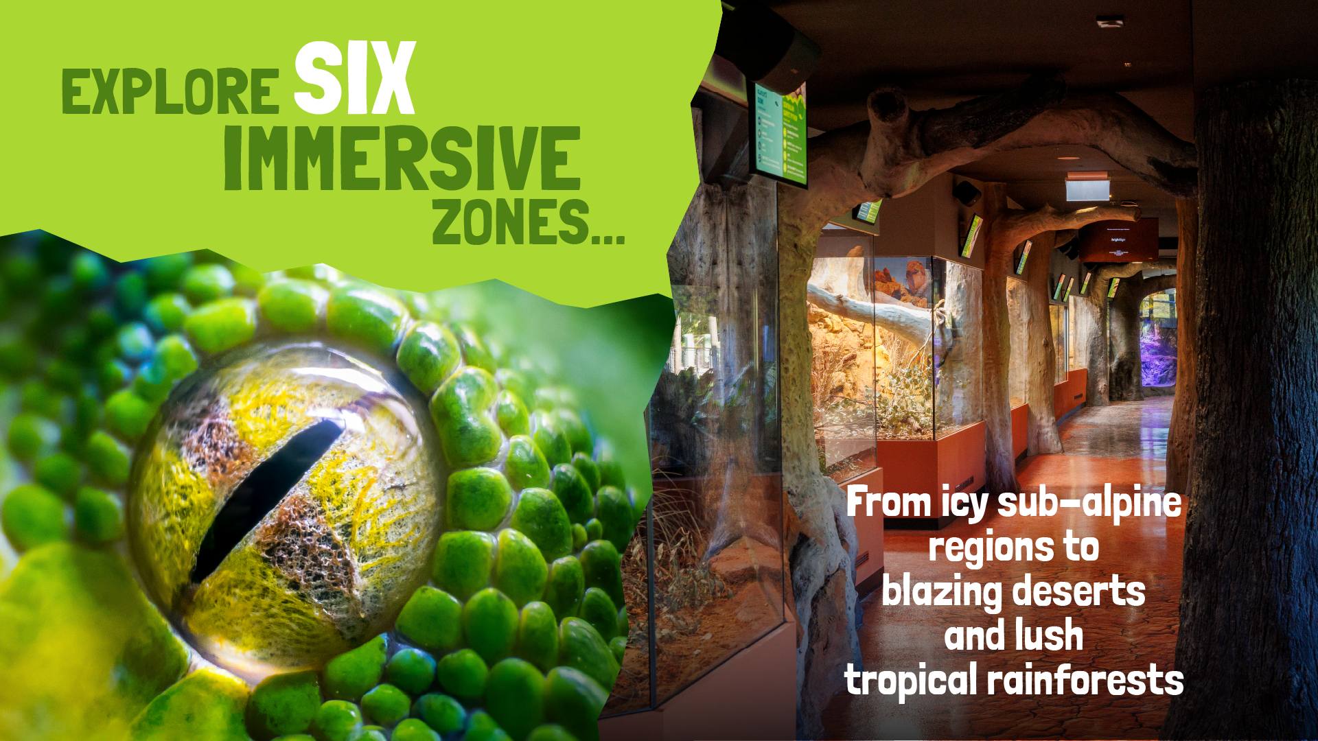 Six immersive habitat zones