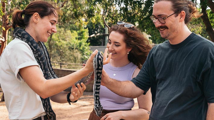 Experience animal encounters such as the diamond python