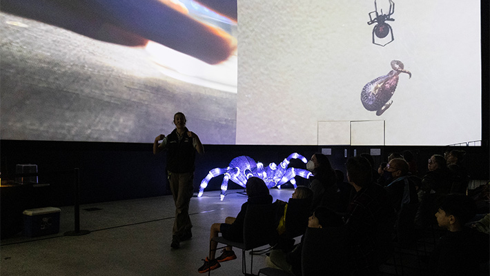 Crawly Critters Alive