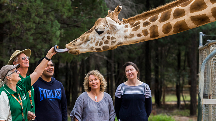 Giants of Africa experience