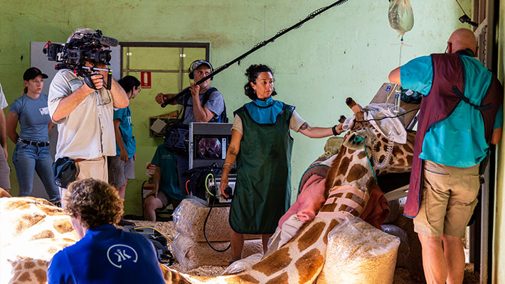 Jimiyu during medical procedures 