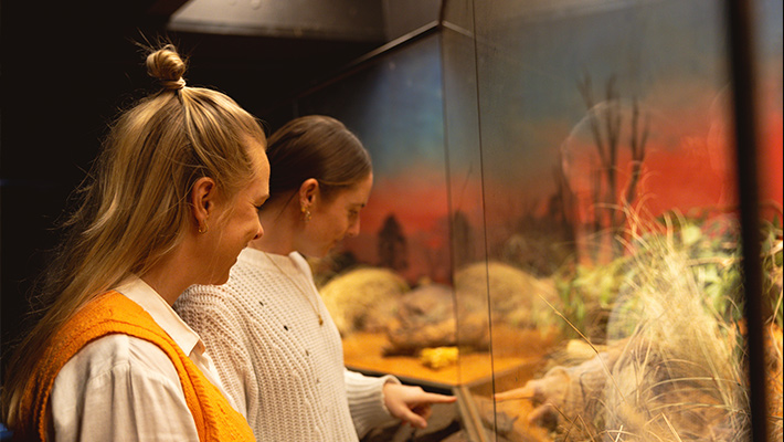 Guests exploring nguwing nura