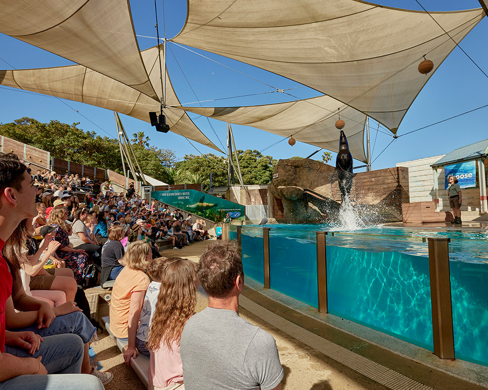 Seals for the Wild Presentation