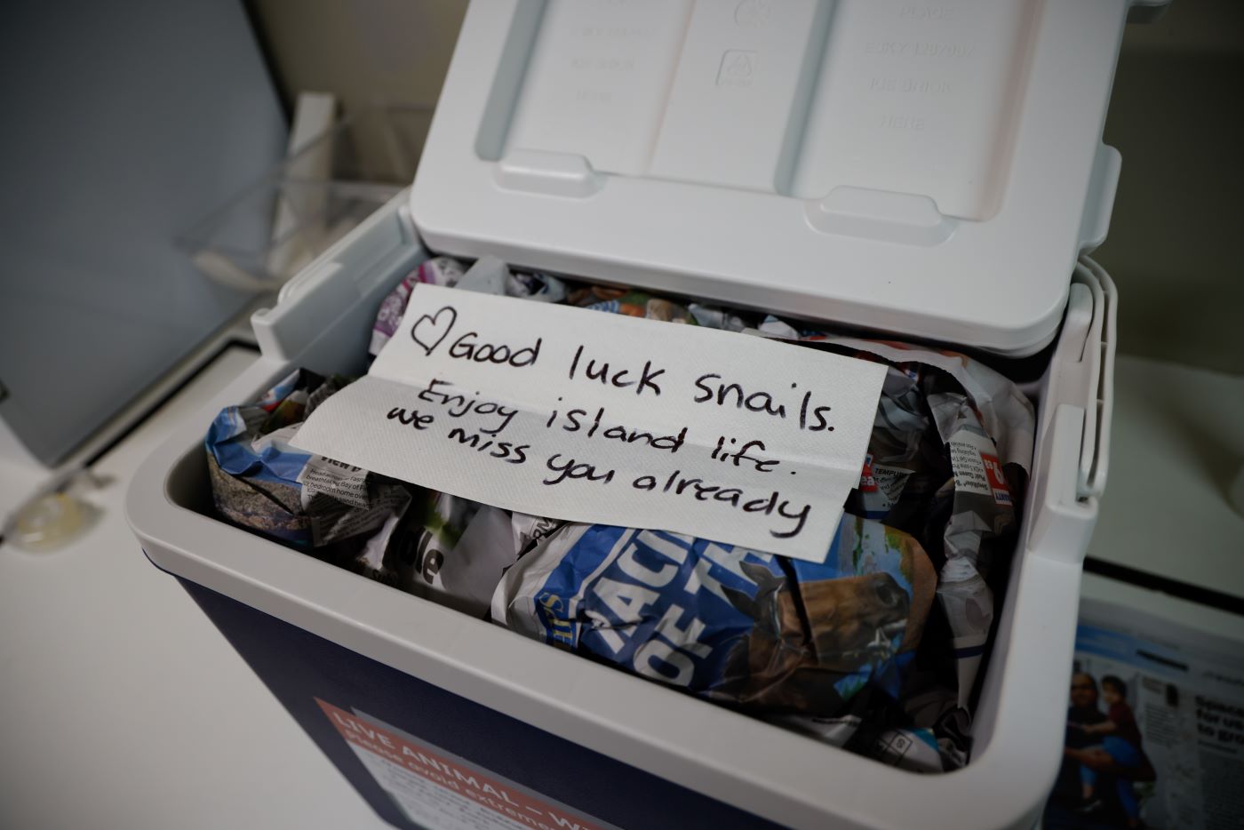 Good Luck to our Snails!