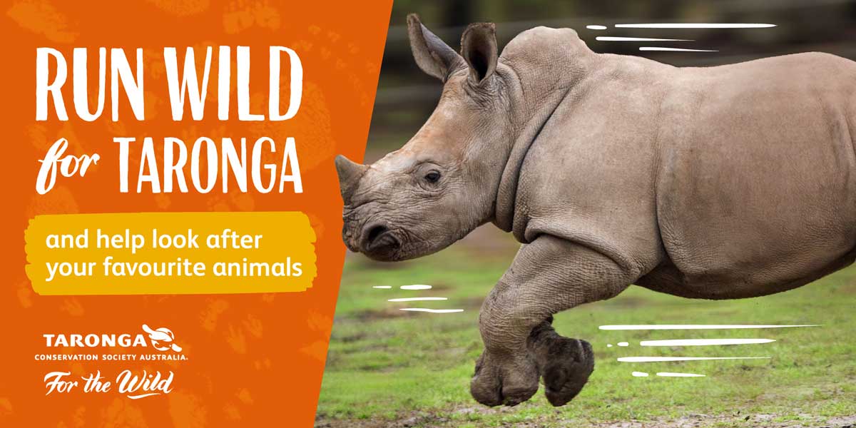 Run Wild for Taronga