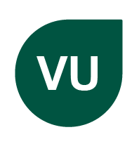 Vulnerable Symbol