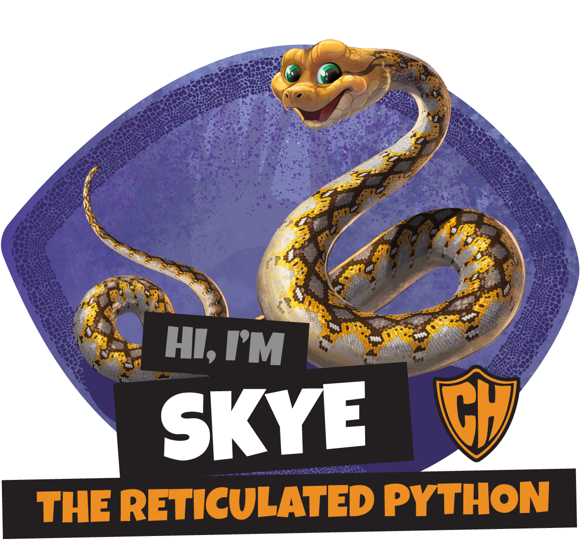 SKYE THE RETICULATED PYTHON 