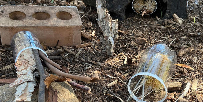 Pre School: Habitat Build