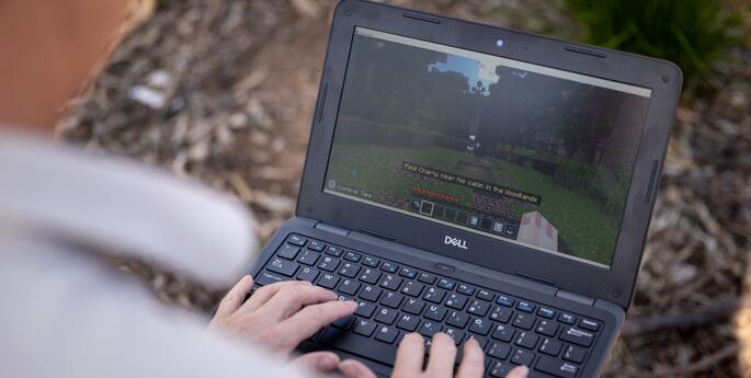 Stage 2 - 3: Minecraft Excursion: Eco-Detectives