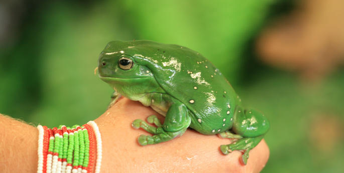 Stage 2: Life Cycles