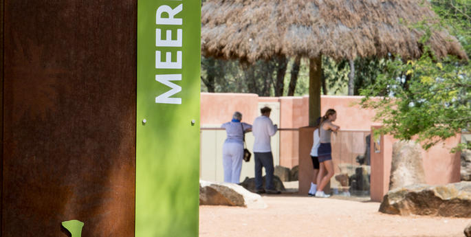 New Meerkat Exhibit now open!