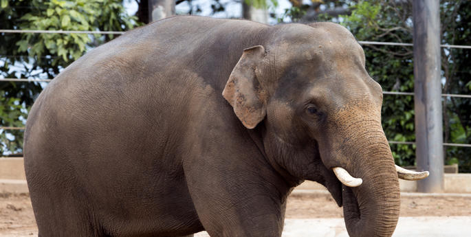 Getting to know Gung