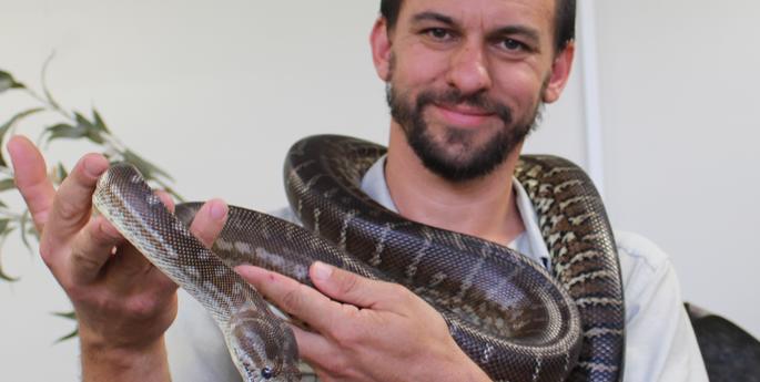 Snake safety tips for summer