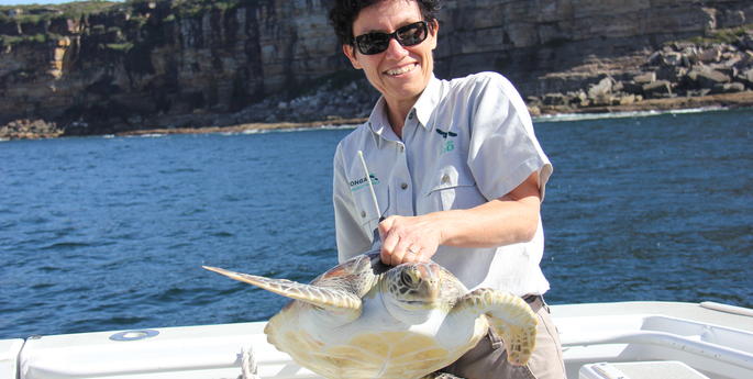 Alice the Green Turtle Returns to the Ocean