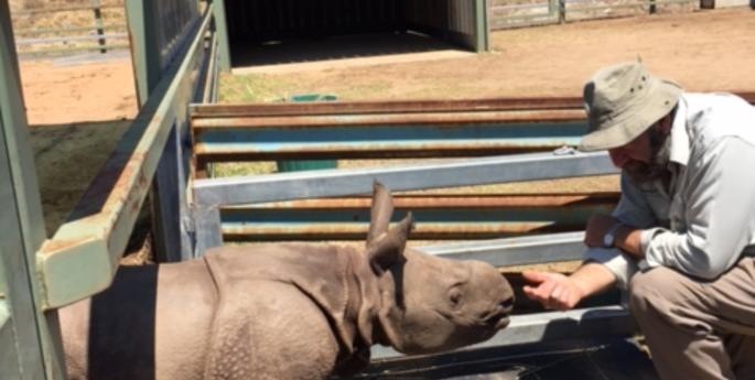 Working closely with Rhinos