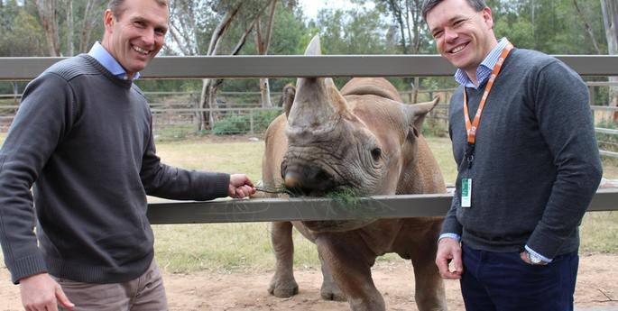Black Rhino Breeding Success Confirmed in Dubbo