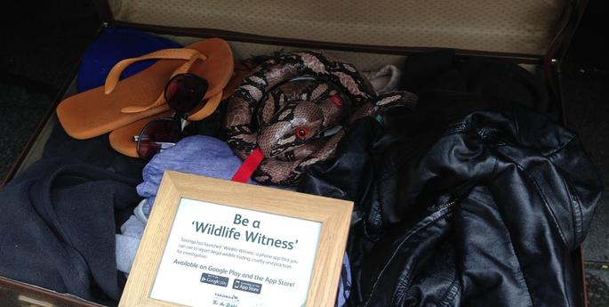 Making a change for wildlife