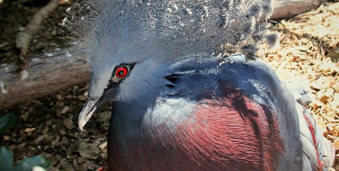 Gone but not forgotten...