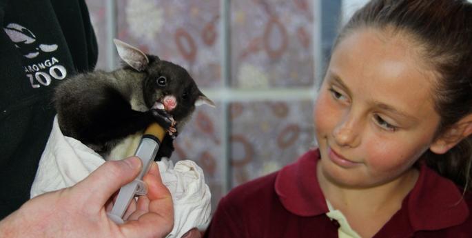 Students take action to protect glider country