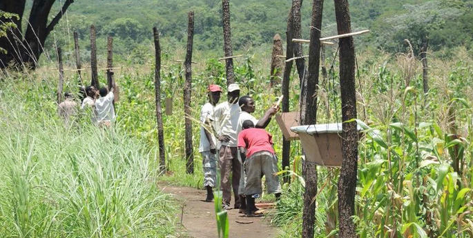 Things you didn’t know about Taronga
