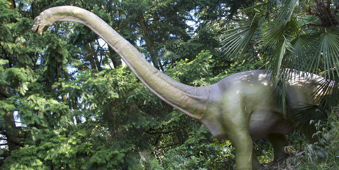 Ambassadors for today’s animals