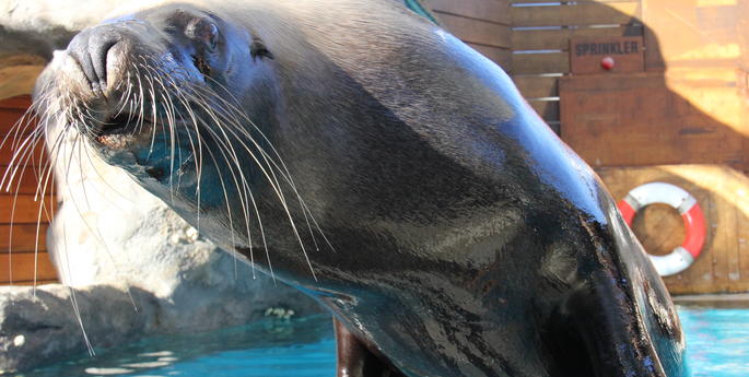 Winter Warms Up at Taronga Zoo