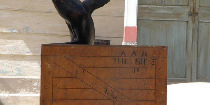 Ronnie now a star of the Seal Show