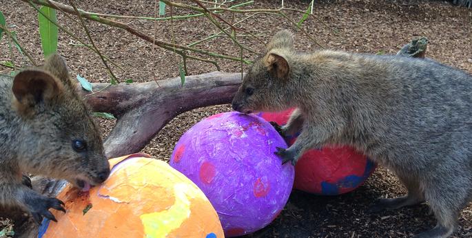 Easter fun hops into B2B