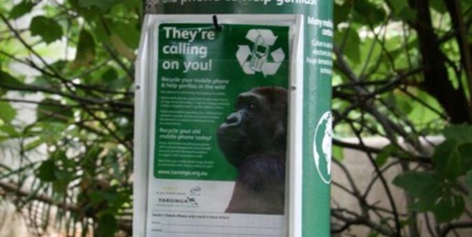 Gorillas get posted for our mobile phone campaign