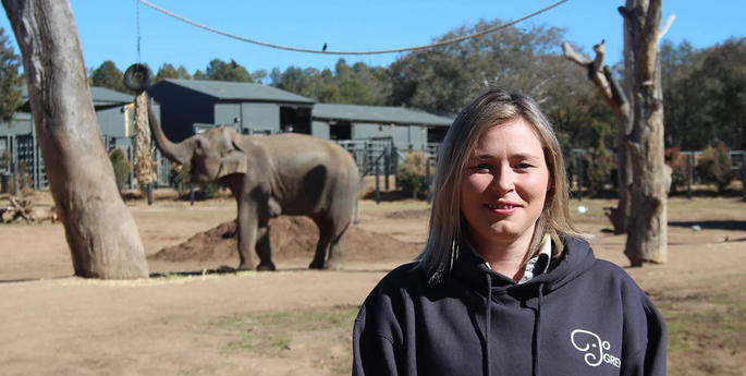 Working with elephants this World Elephant Day