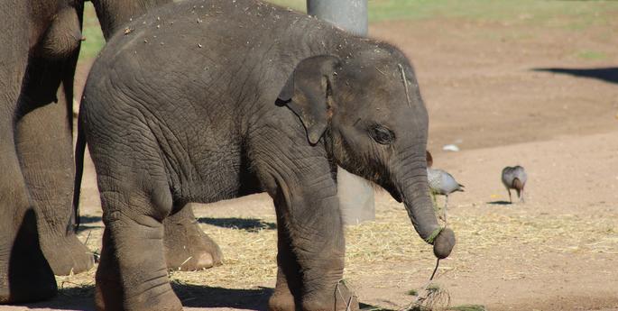 From little things big things grow