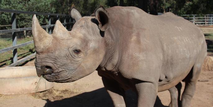 Keepers hoping love is in the air