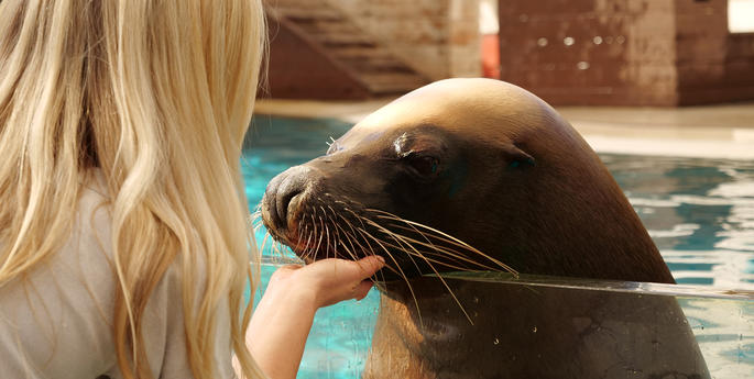 What does it mean to be a zoo keeper?