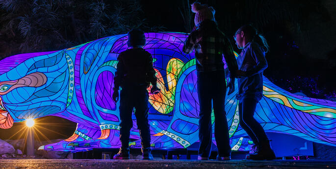 First Nations artist features at Vivid Sydney